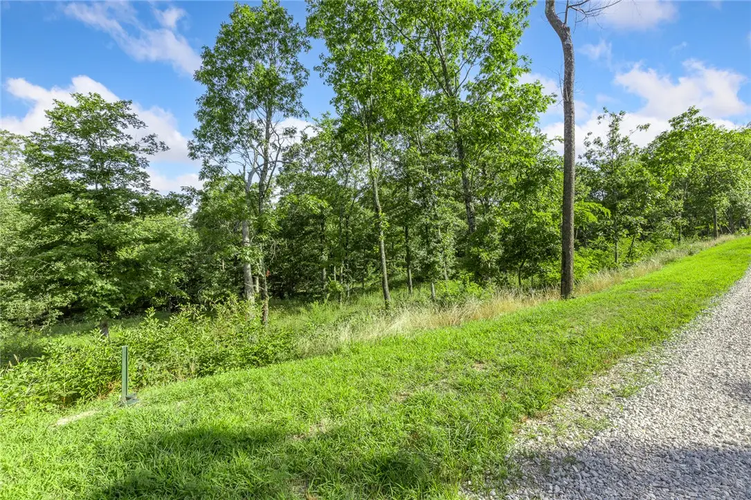 Lot 83 Restore Ridge, Harrison, AR 72601 - #1