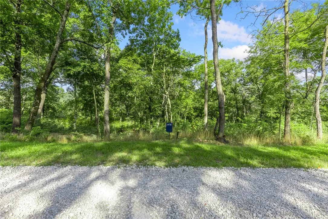 Lot 82 Restore Ridge, Harrison, AR 72601 - #1