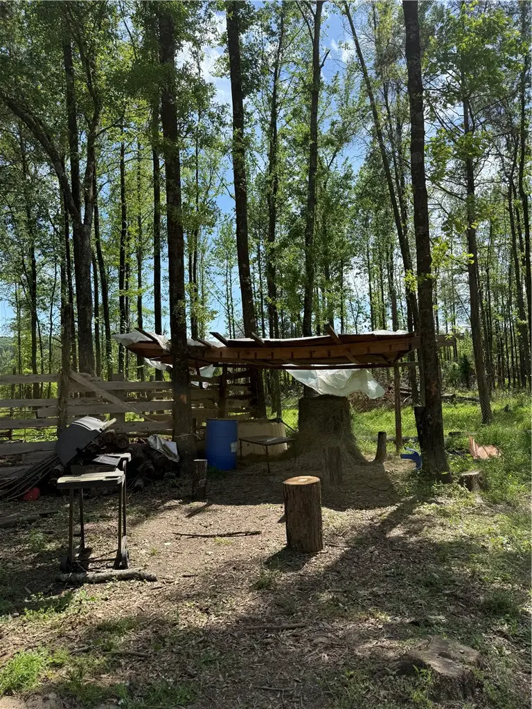 1 Lost Corner Road, Russellville, AR 72802 - #3