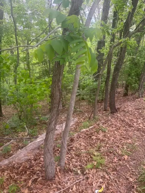Lot 8 Deddington Drive, Bella Vista, AR 72714
