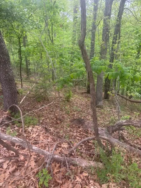 Lot 8 Deddington Drive, Bella Vista, AR 72714 - #2
