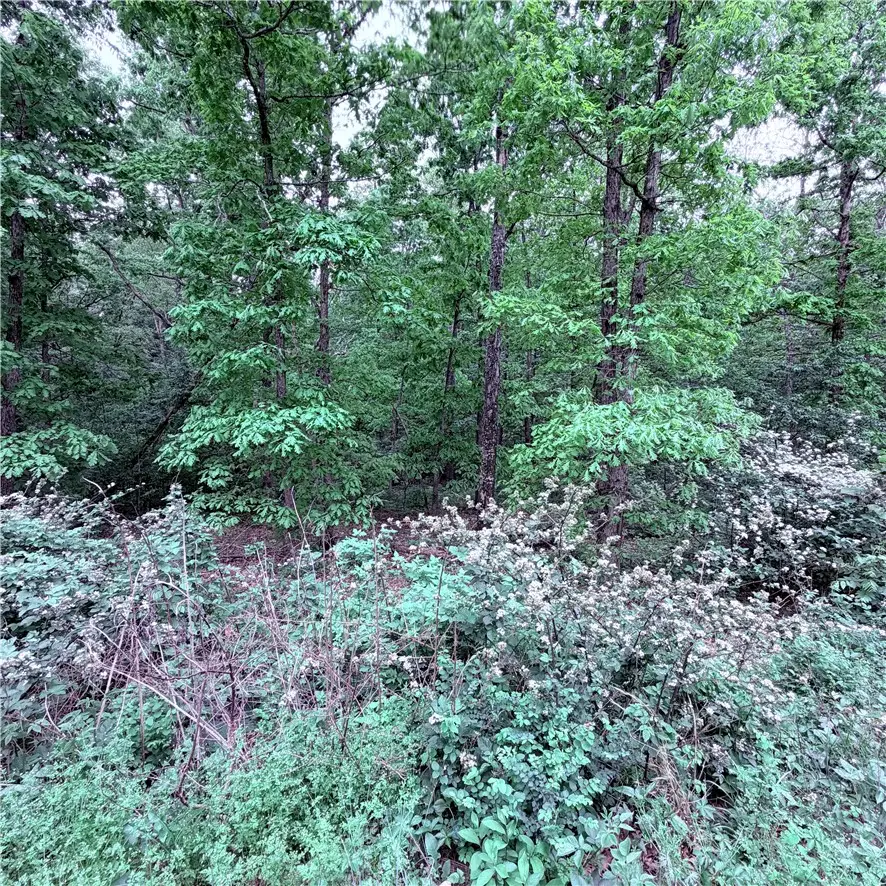 Lot 31 Dickenshire Drive, Bella Vista, AR 72714 - #1