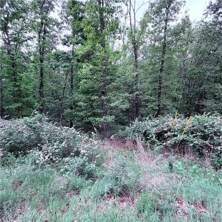 Lot 31 Dickenshire Drive, Bella Vista, AR 72714 - #2