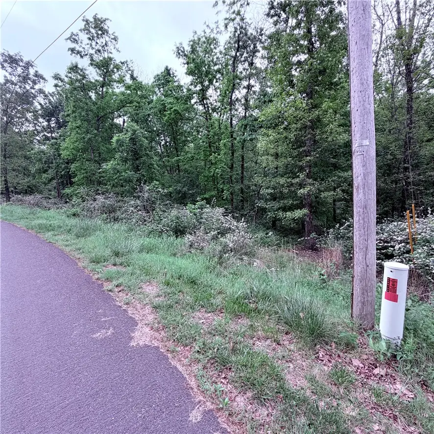 Lot 31 Dickenshire Drive, Bella Vista, AR 72714 - #3