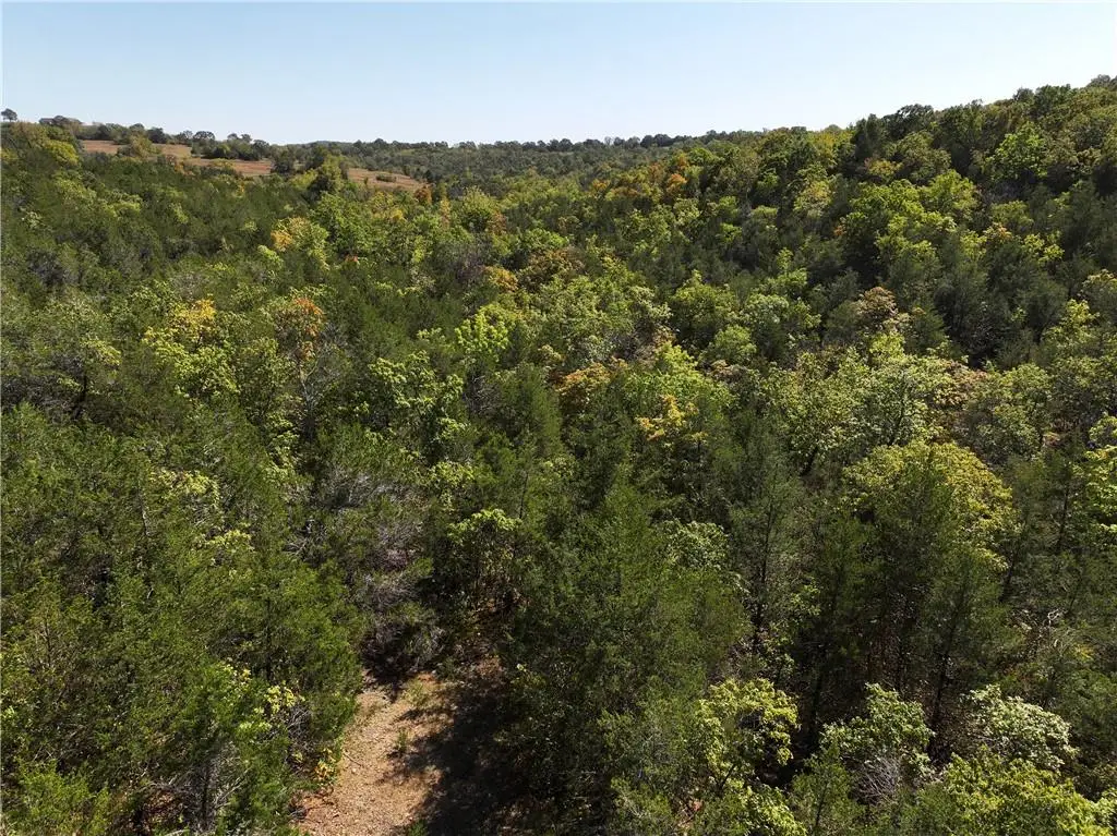 N/a Bear Bottom, Lead Hill, AR 72644 - #1