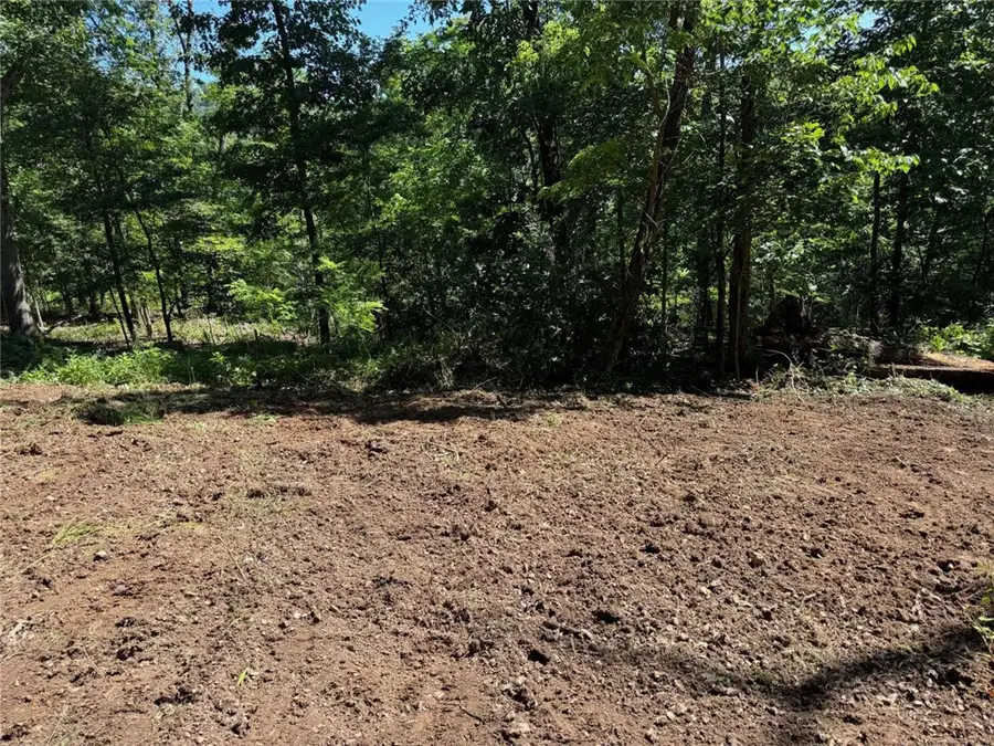 22005 Indian Bluff Road, Garfield, AR 72732 - #2