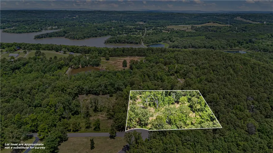 Lot 13 & Lot 14 Galaxy Lane, London, AR 72847 - #3