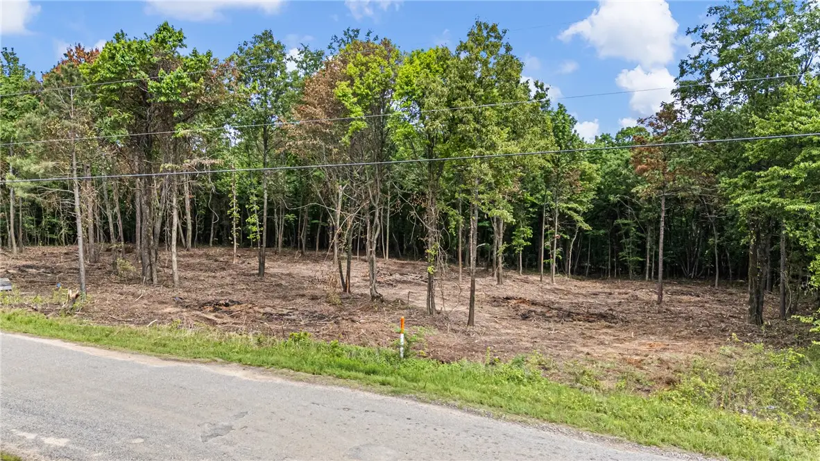 Norris Lane, Atkins, AR 72823 - #1