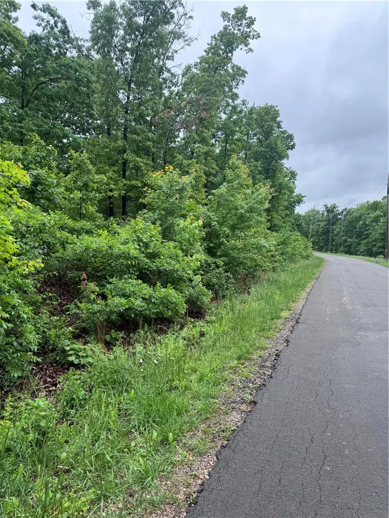 Lot 3 Cheshnut Drive, Bella Vista, AR 72714 - #1