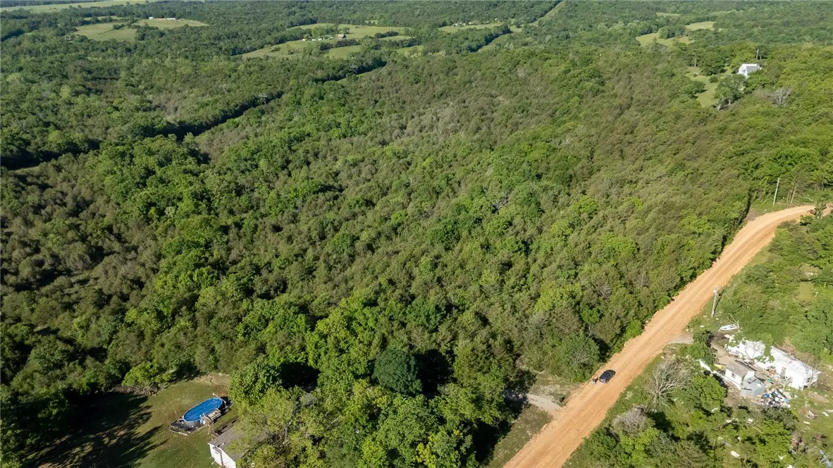 Hwy 246, Berryville, AR 72616 - #1