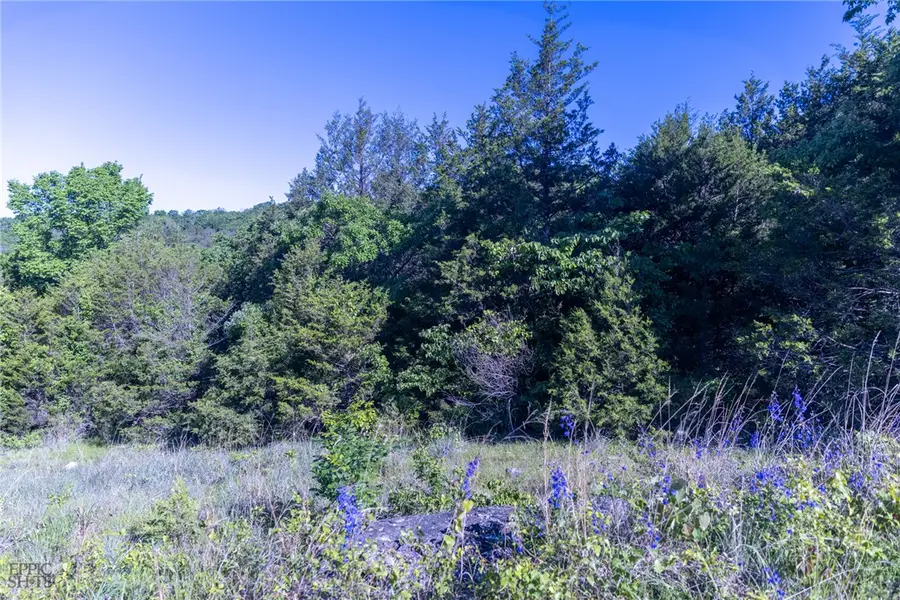 Hwy 246, Berryville, AR 72616 - #3