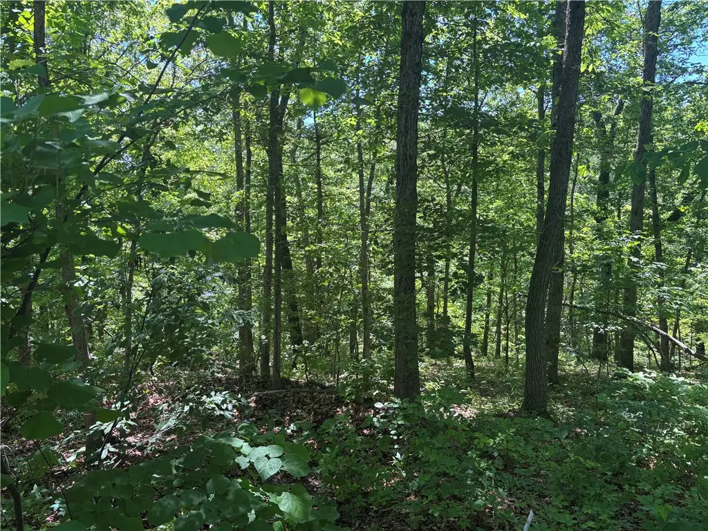 Ulverston Drive, Bella Vista, AR 72714 - #1
