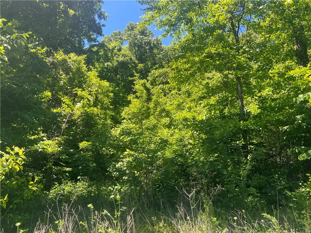 Terrapin Road, Harrison, AR 72601 - #1