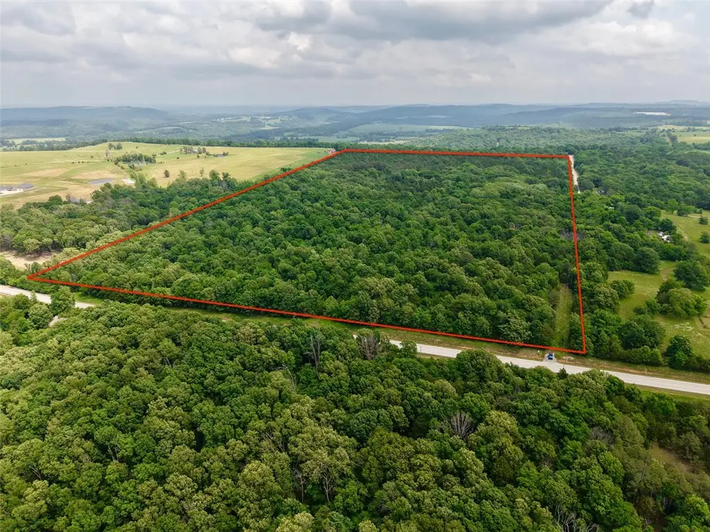 TBD 295 Highway, Hindsville, AR 72738 - #1