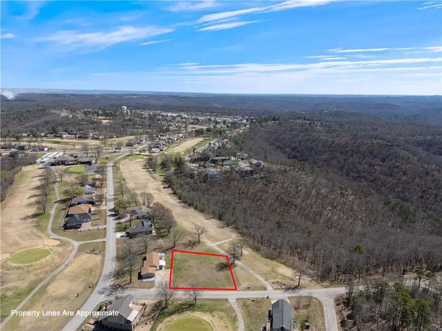 S Hills Loop, Holiday Island, AR 72631 - #2