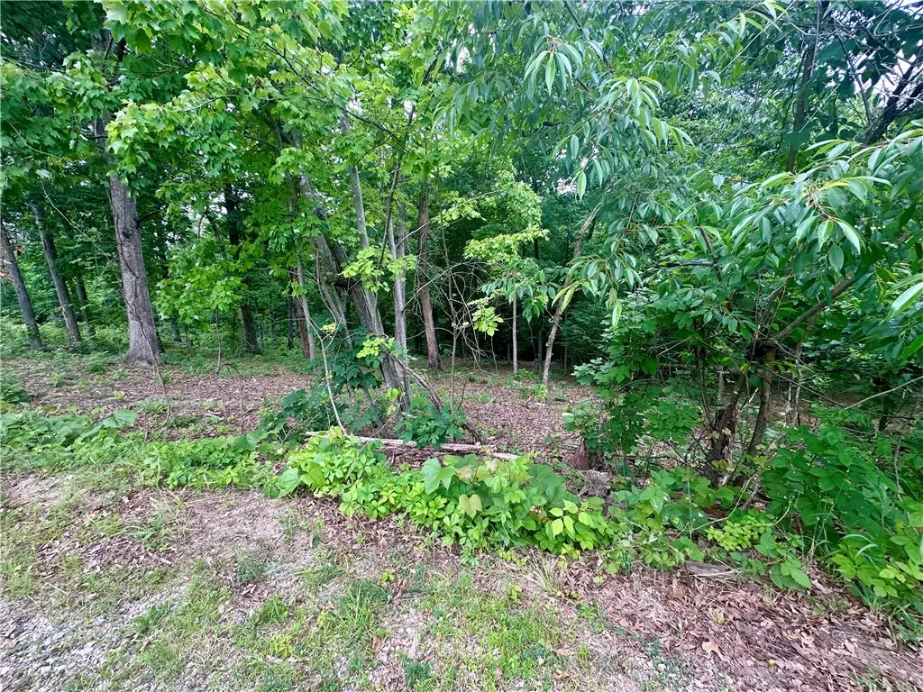 Leyland Drive, Bella Vista, AR 72714 - #1