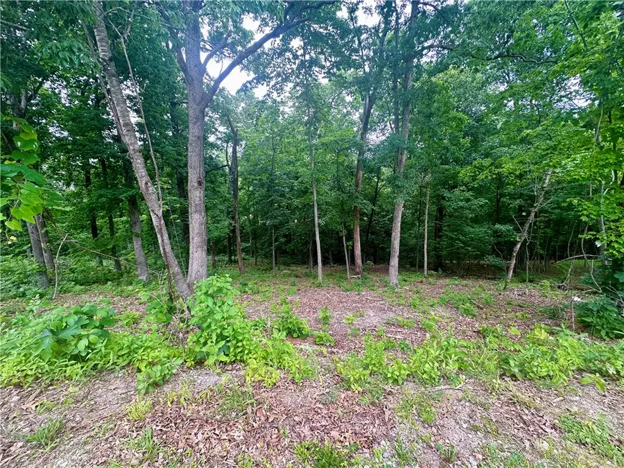 Leyland Drive, Bella Vista, AR 72714 - #2