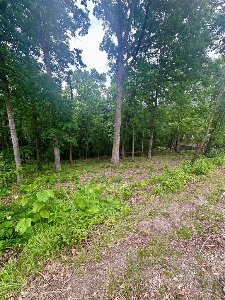 Leyland Drive, Bella Vista, AR 72714 - #3