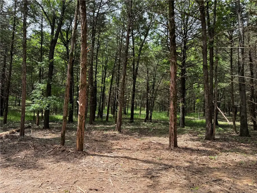 Tract 3a & 2a Downing Road, Elkins, AR 72727 - #2