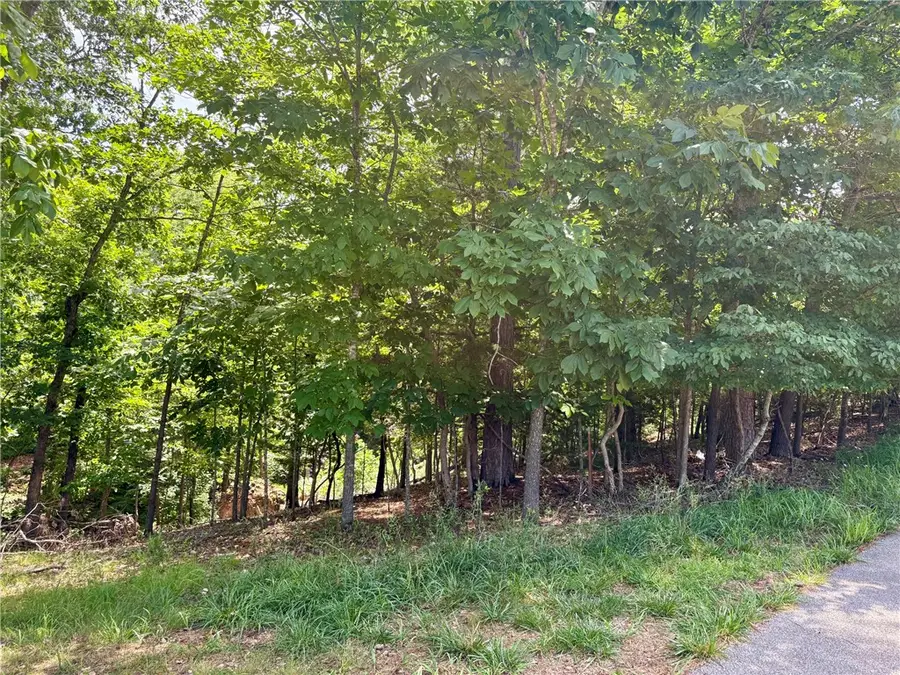Lot 33,34,35 Acapulco Drive, Rogers, AR 72756 - #3