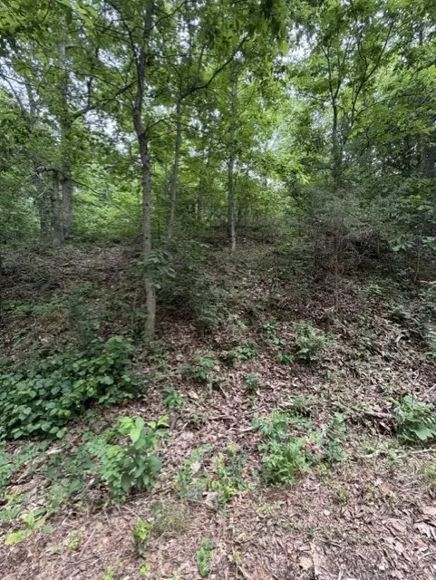 Lot 32 Block 4 Islay Drive, Bella Vista, AR 72715 - #1
