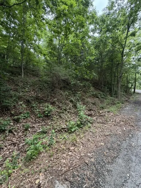 Lot 32 Block 4 Islay Drive, Bella Vista, AR 72715 - #2