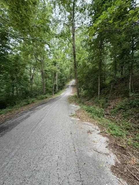 Lot 32 Block 4 Islay Drive, Bella Vista, AR 72715 - #3