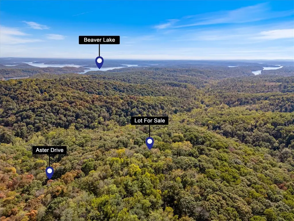 Lot 261 Aster Drive, Rogers, AR 72756 - #1
