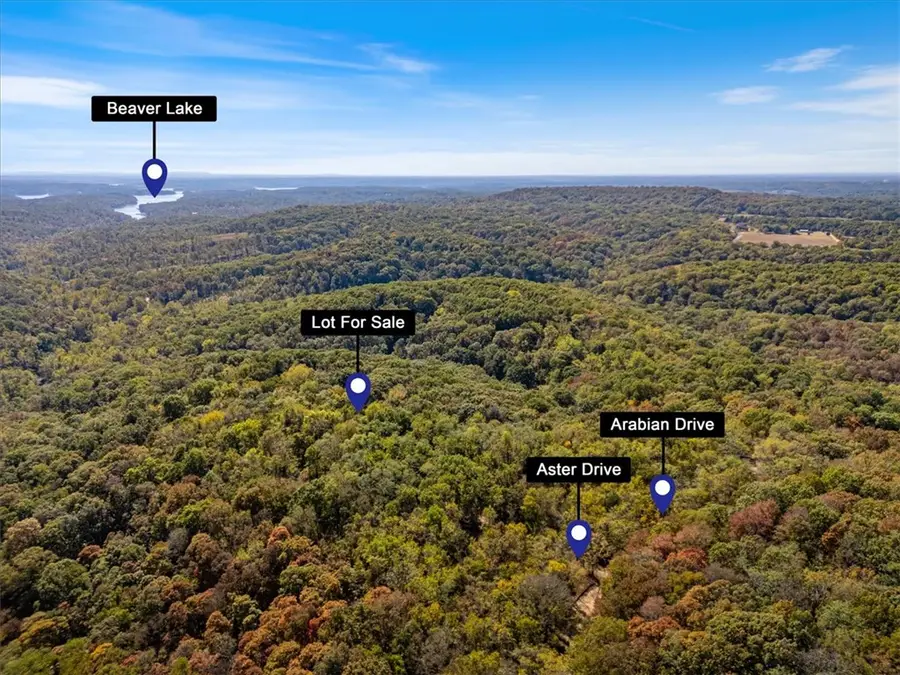 Lot 261 Aster Drive, Rogers, AR 72756 - #3