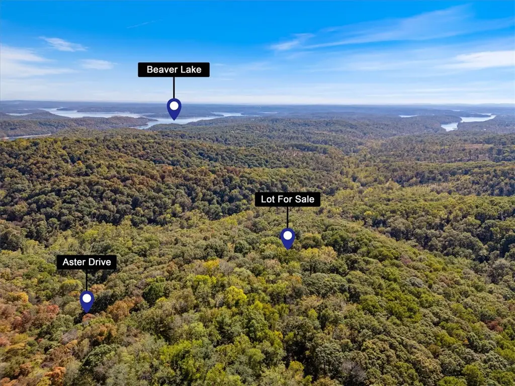 Lot 262 Aster Drive, Rogers, AR 72756 - #1