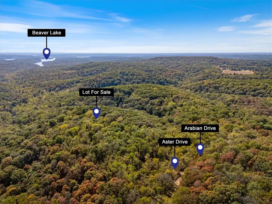 Lot 262 Aster Drive, Rogers, AR 72756 - #2