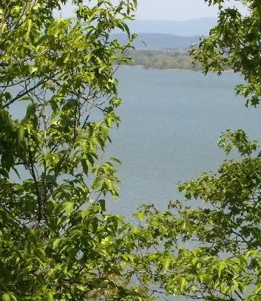 Lots 18 & 19 Piney Bay Village, London, AR 72847