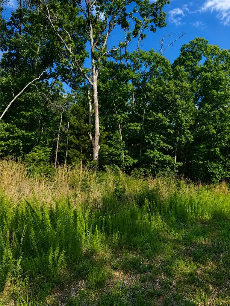Lot 14 Alford Lane, Bella Vista, AR 72714 - #1