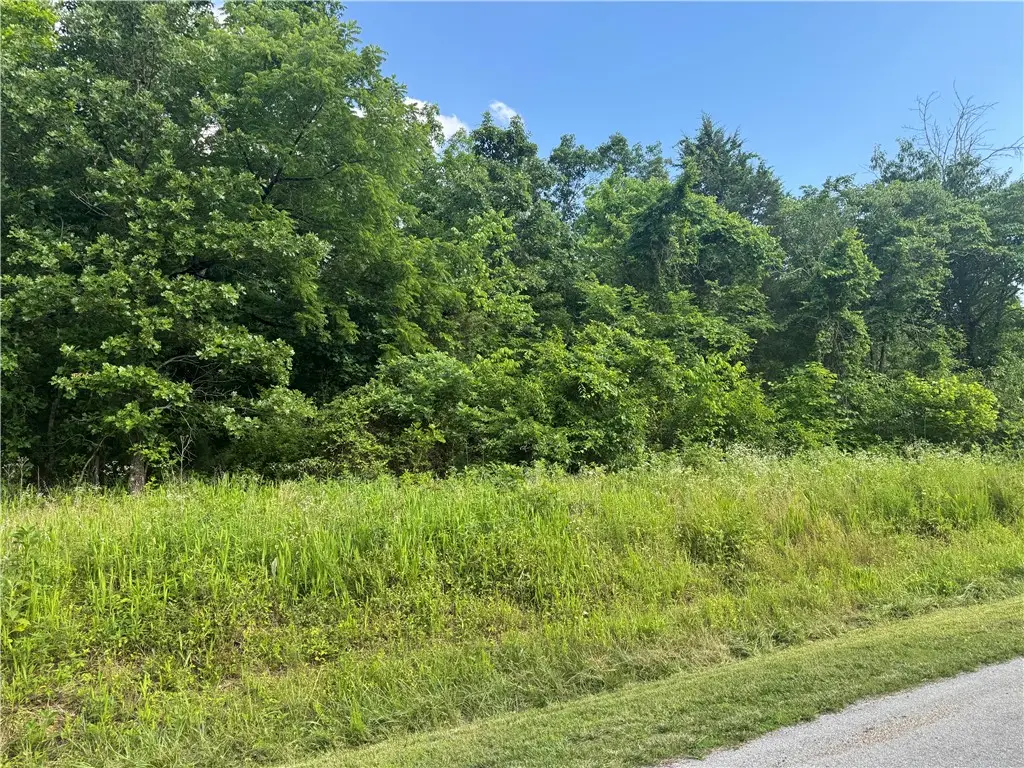 Lot 17 Rountree Lane, Bella Vista, AR 72715 - #1
