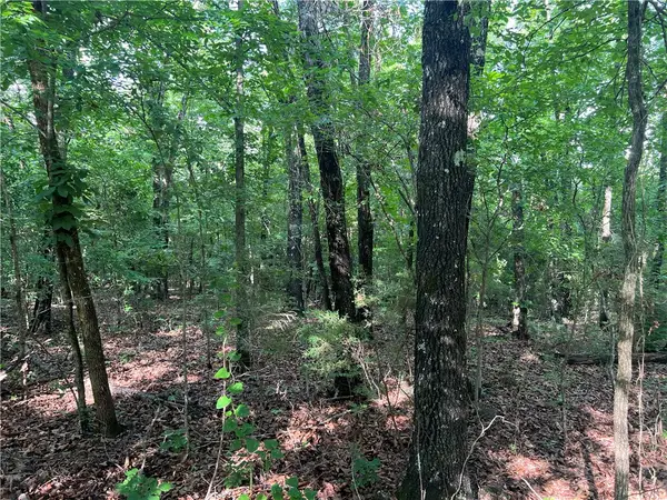 Grassy Gap Road, Harrison, AR 72601
