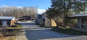 19312 State Highway M, Cassville, MO 65625 - #2