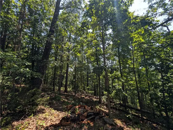 Canyon Village Road, Rogers, AR 72756