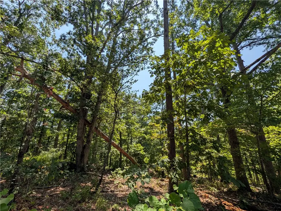 Canyon Village Road, Rogers, AR 72756 - #2