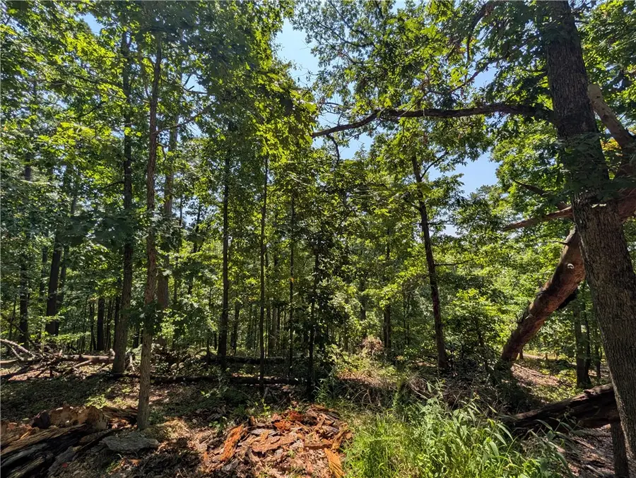Canyon Village Road, Rogers, AR 72756 - #3