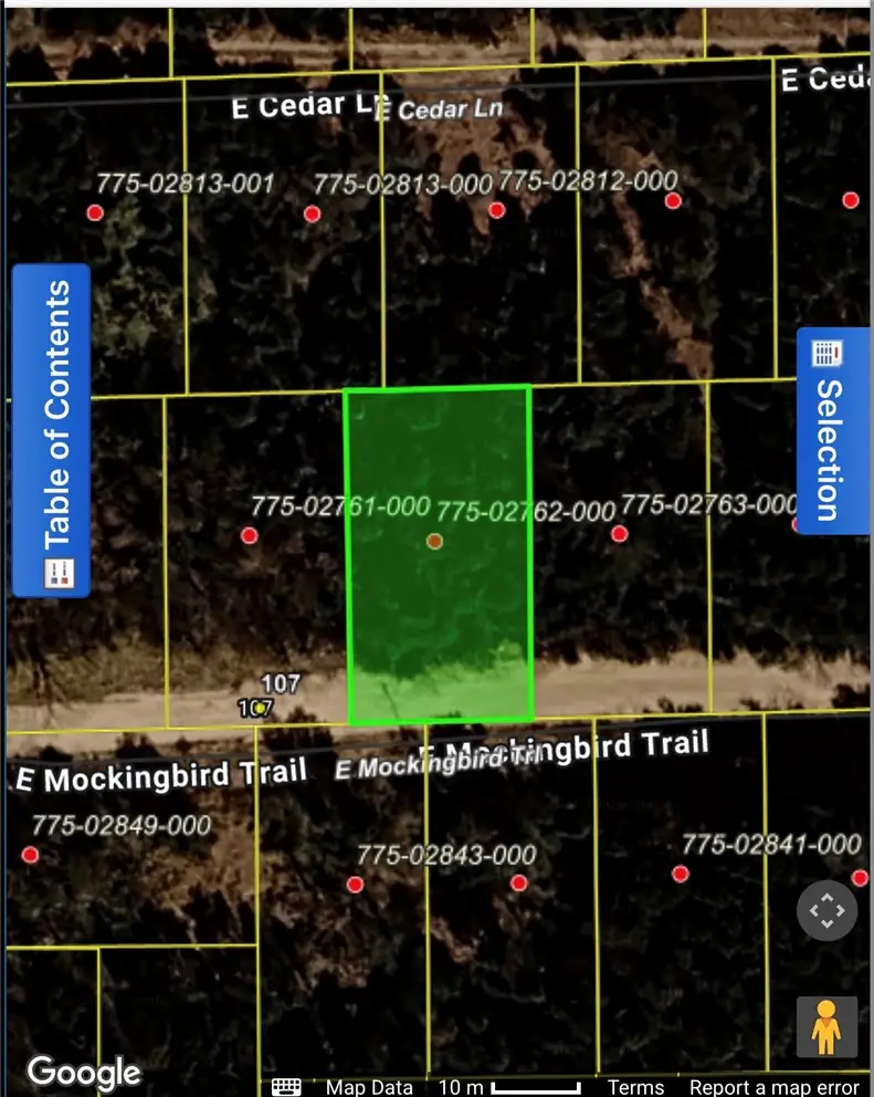 TBD E Mockingbird Trail, Lead Hill, AR 72644 - #1