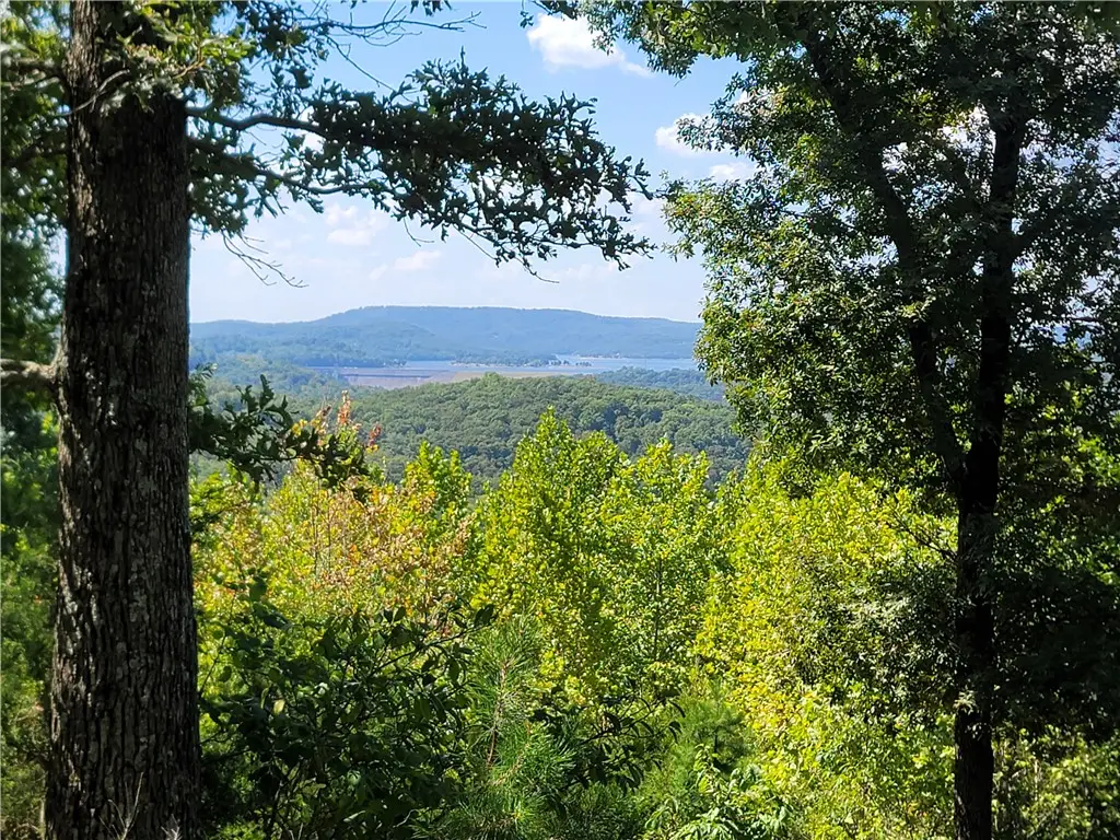200 Blue Moon Road, Eureka Springs, AR 72632 - #1