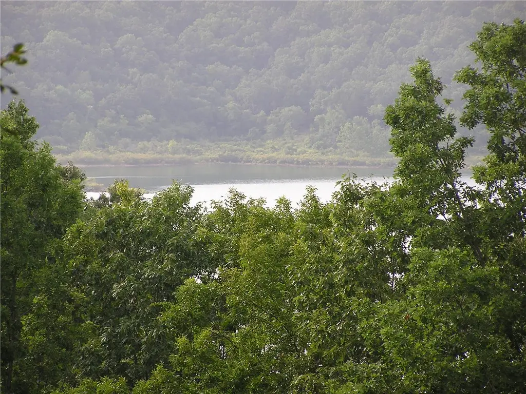 5, 6 & 7 Westmoreland Drive, Bull Shoals, AR 72619 - #1