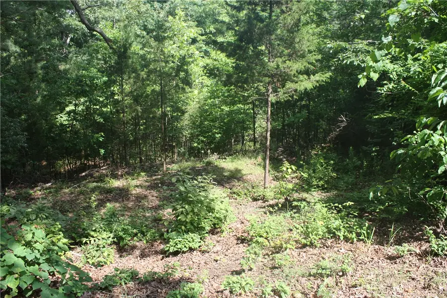 5, 6 & 7 Westmoreland Drive, Bull Shoals, AR 72619 - #3
