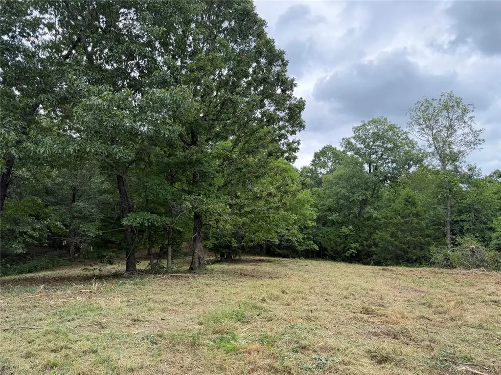 146 Nc 3920, Marble Falls, AR 72648 - #1