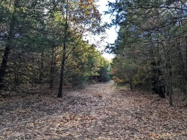 Pine Tree, Prairie Grove, AR 72753