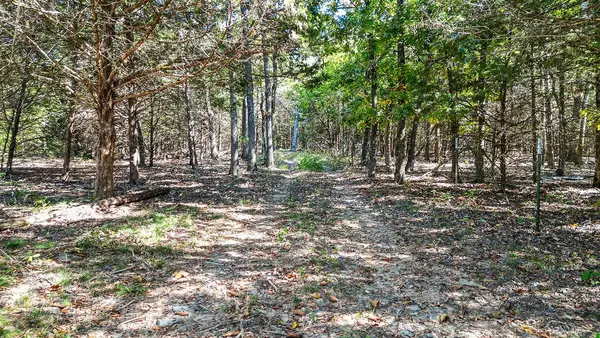 Pine Tree, Prairie Grove, AR 72753