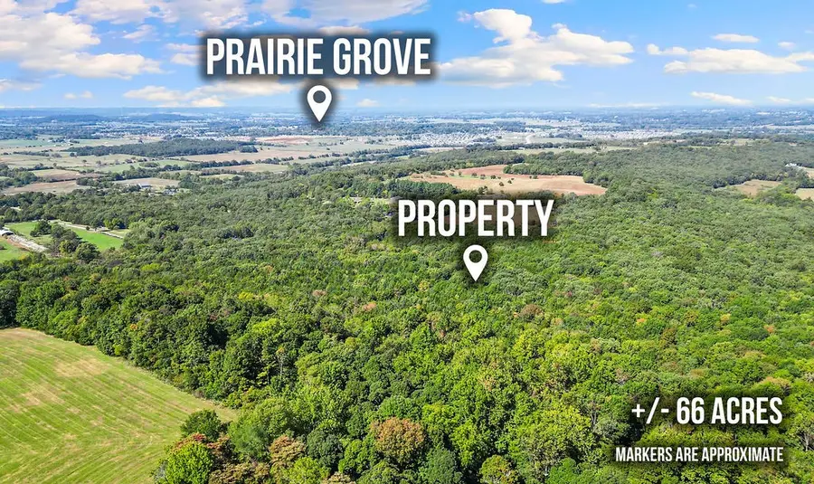Pine Tree, Prairie Grove, AR 72753 - #2