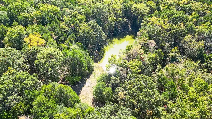 Pine Tree, Prairie Grove, AR 72753 - #3