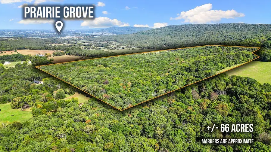 Pine Tree, Prairie Grove, AR 72753 - #2