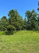 28 Autumn Ct, Dover, AR 72837 - #1